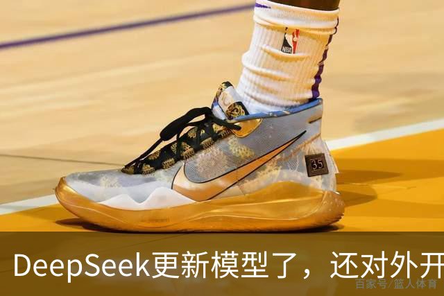 DeepSeek更新模型了,还对外开放了搜索引擎